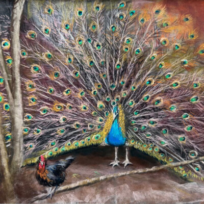 pastel sec sur pastelmat 42x59 encadré